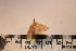  ( - P148)  @12 [ ] CreativeCommons - Attribution (2011) Elizabeth Clare Centre for Biodiversity Genomics