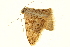  ( - P334)  @12 [ ] CreativeCommons - Attribution (2012) CBG Photography Group Centre for Biodiversity Genomics