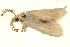  ( - P350)  @12 [ ] CreativeCommons - Attribution (2012) CBG Photography Group Centre for Biodiversity Genomics