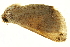  ( - P379)  @13 [ ] CreativeCommons - Attribution (2012) CBG Photography Group Centre for Biodiversity Genomics
