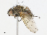  ( - CBG-A13246-F05)  @11 [ ] CreativeCommons - Attribution Share - Alike (2023) CBG Photography Group Centre for Biodiversity Genomics