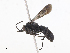  ( - CBG-A13246-H02)  @11 [ ] CreativeCommons - Attribution Share - Alike (2023) CBG Photography Group Centre for Biodiversity Genomics