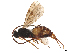  ( - CBG-A13315-H05)  @11 [ ] CreativeCommons - Attribution Share Alike (2025) CBG Photography Group Centre for Biodiversity Genomics