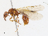  ( - CBG-A13316-B02)  @11 [ ] CreativeCommons - Attribution Share - Alike (2023) CBG Photography Group Centre for Biodiversity Genomics