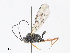  ( - CBG-A14962-C11)  @11 [ ] CreativeCommons - Attribution Share-Alike (2023) CBG Photography Group Centre for Biodiversity Genomics