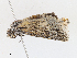  ( - CBG-A15000-D04)  @11 [ ] CreativeCommons - Attribution Share - Alike (2023) CBG Photography Group Centre for Biodiversity Genomics