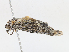  ( - CBG-A15001-E04)  @11 [ ] CreativeCommons - Attribution Share - Alike (2023) CBG Photography Group Centre for Biodiversity Genomics