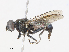  ( - CBG-A15002-G07)  @11 [ ] CreativeCommons - Attribution Share - Alike (2023) CBG Photography Group Centre for Biodiversity Genomics
