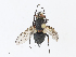  ( - CBG-A15005-B12)  @11 [ ] CreativeCommons - Attribution Share - Alike (2023) CBG Photography Group Centre for Biodiversity Genomics