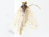  ( - CBG-A15006-C12)  @11 [ ] CreativeCommons - Attribution Share - Alike (2023) CBG Photography Group Centre for Biodiversity Genomics