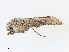  ( - CBG-A15018-A10)  @11 [ ] CreativeCommons - Attribution Share - Alike (2023) CBG Photography Group Centre for Biodiversity Genomics