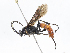  ( - CBG-A16638-A05)  @11 [ ] CreativeCommons - Attribution Share-Alike (2023) CBG Photography Group Centre for Biodiversity Genomics