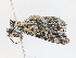  ( - CBG-A16639-A03)  @11 [ ] CreativeCommons - Attribution Share-Alike (2023) CBG Photography Group Centre for Biodiversity Genomics