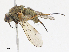  ( - CBG-A16639-B05)  @11 [ ] CreativeCommons - Attribution Share-Alike (2023) CBG Photography Group Centre for Biodiversity Genomics