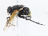 ( - CBG-A16640-B02)  @11 [ ] CreativeCommons - Attribution Share-Alike (2023) CBG Photography Group Centre for Biodiversity Genomics