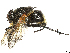  ( - CBG-A16640-B02)  @11 [ ] CreativeCommons - Attribution Share Alike (2025) CBG Photography Group Centre for Biodiversity Genomics