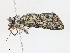  ( - CBG-A16647-A04)  @11 [ ] CreativeCommons - Attribution Share - Alike (2023) CBG Photography Group Centre for Biodiversity Genomics