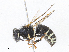  ( - CBG-A16649-B07)  @11 [ ] CreativeCommons - Attribution Share - Alike (2023) CBG Photography Group Centre for Biodiversity Genomics