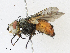  ( - CBG-A18318-A12)  @11 [ ] CreativeCommons - Attribution Share - Alike (2023) CBG Photography Group Centre for Biodiversity Genomics
