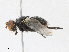  ( - CBG-A18319-A09)  @11 [ ] CreativeCommons - Attribution Share - Alike (2023) CBG Photography Group Centre for Biodiversity Genomics