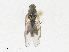  ( - CBG-A18323-D09)  @11 [ ] CreativeCommons - Attribution Share - Alike (2023) CBG Photography Group Centre for Biodiversity Genomics