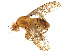  ( - CBG-A18330-G12)  @11 [ ] CreativeCommons - Attribution Share Alike (2025) CBG Photography Group Centre for Biodiversity Genomics