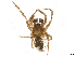  ( - CBG-A18331-D12)  @11 [ ] CreativeCommons - Attribution Share Alike (2025) CBG Photography Group Centre for Biodiversity Genomics