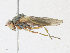  ( - CBG-A21746-C09)  @11 [ ] CreativeCommons - Attribution Share - Alike (2023) CBG Photography Group Centre for Biodiversity Genomics