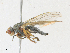  ( - CBG-A21746-C11)  @11 [ ] CreativeCommons - Attribution Share - Alike (2023) CBG Photography Group Centre for Biodiversity Genomics