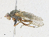  ( - CBG-A21746-D03)  @11 [ ] CreativeCommons - Attribution Share - Alike (2023) CBG Photography Group Centre for Biodiversity Genomics