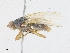 ( - CBG-A21747-C03)  @11 [ ] CreativeCommons - Attribution Share - Alike (2023) CBG Photography Group Centre for Biodiversity Genomics
