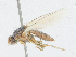  ( - CBG-A21747-C05)  @11 [ ] CreativeCommons - Attribution Share - Alike (2023) CBG Photography Group Centre for Biodiversity Genomics