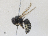  ( - CBG-A30038-C03)  @11 [ ] CreativeCommons - Attribution Share-Alike (2024) CBG Photography Group Centre for Biodiversity Genomics
