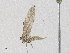  ( - CBG-A30039-F04)  @11 [ ] CreativeCommons - Attribution Share-Alike (2024) CBG Photography Group Centre for Biodiversity Genomics