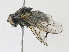  ( - CBG-A30040-B11)  @11 [ ] CreativeCommons - Attribution Share-Alike (2024) CBG Photography Group Centre for Biodiversity Genomics
