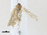  ( - CBG-A30041-C07)  @11 [ ] CreativeCommons - Attribution Share-Alike (2024) CBG Photography Group Centre for Biodiversity Genomics