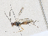  ( - CBG-A30042-F01)  @11 [ ] CreativeCommons - Attribution Share-Alike (2024) CBG Photography Group Centre for Biodiversity Genomics