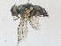  ( - CBG-A30043-D08)  @11 [ ] CreativeCommons - Attribution Share-Alike (2024) CBG Photography Group Centre for Biodiversity Genomics