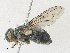  ( - CBG-A30043-D10)  @11 [ ] CreativeCommons - Attribution Share-Alike (2024) CBG Photography Group Centre for Biodiversity Genomics