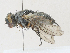  ( - CBG-A30043-D12)  @11 [ ] CreativeCommons - Attribution Share-Alike (2024) CBG Photography Group Centre for Biodiversity Genomics