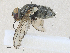  ( - CBG-A30043-E02)  @11 [ ] CreativeCommons - Attribution Share-Alike (2024) CBG Photography Group Centre for Biodiversity Genomics