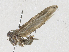  ( - CBG-A30044-B08)  @11 [ ] CreativeCommons - Attribution Share-Alike (2024) CBG Photography Group Centre for Biodiversity Genomics