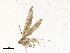  ( - CBG-A30044-E02)  @11 [ ] CreativeCommons - Attribution Share-Alike (2024) CBG Photography Group Centre for Biodiversity Genomics