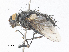  ( - CBG-A30044-H09)  @11 [ ] CreativeCommons - Attribution Share-Alike (2024) CBG Photography Group Centre for Biodiversity Genomics