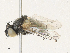  ( - CBG-A33509-H07)  @11 [ ] CreativeCommons - Attribution Share - Alike (2024) CBG Photography Group Centre for Biodiversity Genomics