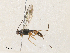  ( - CBG-A33511-H03)  @11 [ ] CreativeCommons - Attribution Share - Alike (2024) CBG Photography Group Centre for Biodiversity Genomics