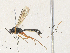  ( - CBG-A34297-C03)  @11 [ ] CreativeCommons - Attribution Share - Alike (2024) CBG Photography Group Centre for Biodiversity Genomics