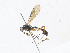  ( - CBG-A34297-D10)  @11 [ ] CreativeCommons - Attribution Share - Alike (2024) CBG Photography Group Centre for Biodiversity Genomics