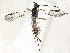  ( - CBG-A35149-E05)  @11 [ ] CreativeCommons - Attribution Share-Alike (2024) CBG Photography Group Centre for Biodiversity Genomics