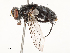  ( - CBG-A54473-F08)  @11 [ ] CreativeCommons - Attribution Share - Alike (2024) CBG Photography Group Centre for Biodiversity Genomics